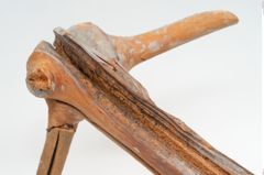 Foto von Holzquirl (NHMW-PRAE-003503)
